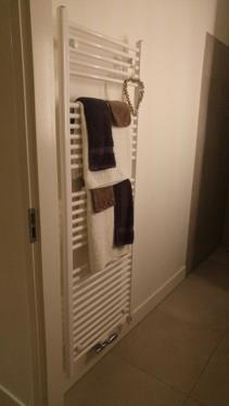 Een Klein Appartementje Zonder Keuken In Het Centrum Sleep At Hamtingh'S Hilvarenbeek Kültér fotó